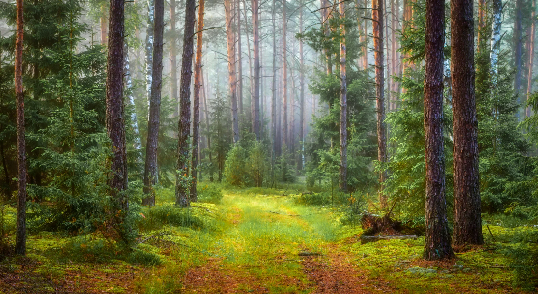 如何高效解压？